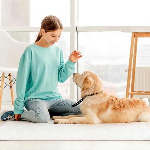 SCLOSE Washable Pee Pads for Dogs 2 Pack, 34\" x 36\" Waterproof Incontinence Bed Pads for Adults, Elderly and Kids, Nursing Pads, Chucks Pads, Super Asorbent Dog Training Pads, White & Blue
