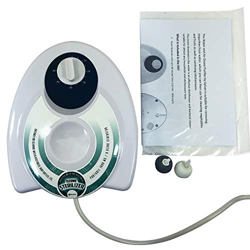 Sylvan Portable Water And Veggie Purifier Ozone Generator 1000Mg/H (Og-V1000) – Sanitizing And Disinfecting Unit With Diffuser Stones And Automatic Timer; Purifies Water, Baby Bottles, Toothbrush Etc. #TOP1
