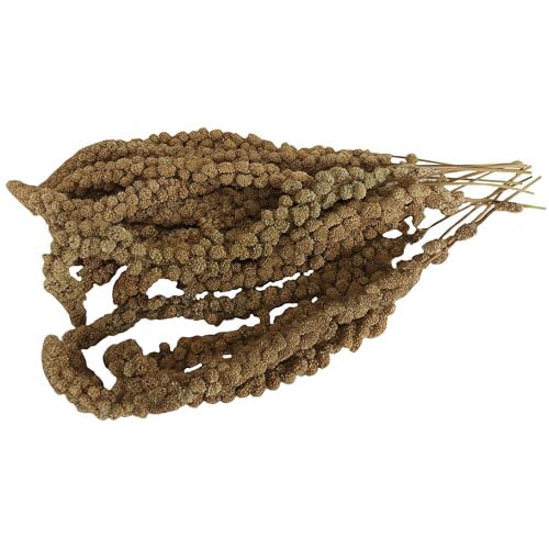 Aimé | Millet en Branches et Graines Oiseaux 250g | Millet en Grappes pour Oiseaux Domestiques 100% Naturel | Friandises Oiseaux pour éviter l&rsquo;Ennui et l&rsquo;Anxiété | Production Française