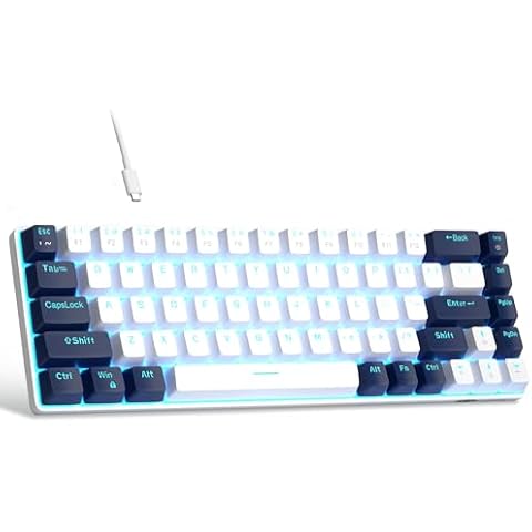 Clavier MageGee MK-Box 60% Cover