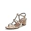 Champagne Snake Faux Leather