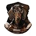 FekiLoot Dachshund Book Neck Gaiter Exquisite Multipurpose Windproof Face Cover Fashion Winter Neck Warmer Gator Scarf Soft Cozy Breathable Bandana Face Mask Scarf Unisex