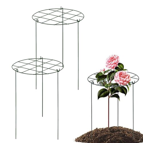 Celosía para Plantas Trepadoras Exterior, 3 Piezas Enrejado Metálico Jardín, Soporte Vid para Pepino UVA Rosa Tomate Hortaliza Jazmín Clematis Patio Casa
