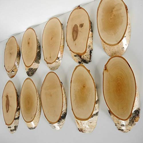 10 carteles de madera de abedul para trofeos con cornamenta, cornamenta, disco de árbol, cartel de madera natural, moderno con compartimento de pino