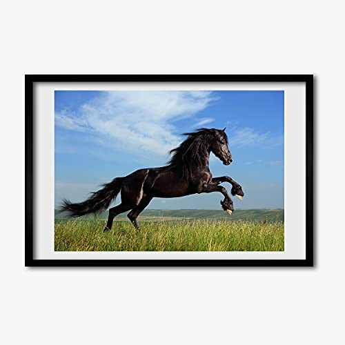 Tableau peinture décoratif de cheval noir avec grand cadre 60x40
