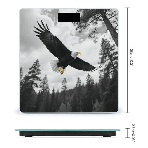 Balck Eagle Forest balanza digital para baño con pantalla LED miniatura 2