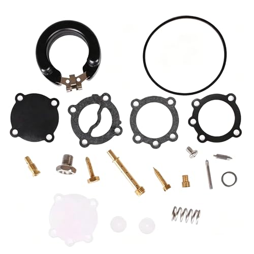 Kit réparation carburateur Suzuki 15CV résout les problèmes de démarrage du moteur hors-bord