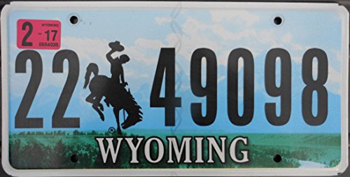 Wyoming License Plate with black numbers and Bucking Bronco on sky flat non-embossed