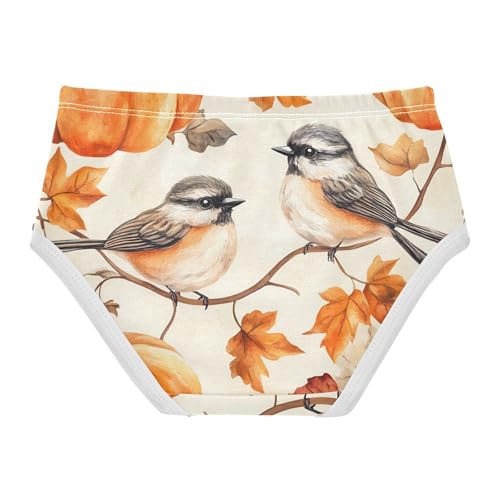 Fall Pumpkin Bird Autumn Panties for Girl Toddler Underwear Floral Cotton Aesthetic Briefs Undies Kids 2t2