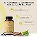 Herb Vitality Blood Sugar Support Supplement with Cinnamon, Bitter Melon – Supports Healthy Blood Sugar Levels Already Within Normal ranges | Licorice Root Extract - 60 Capsules