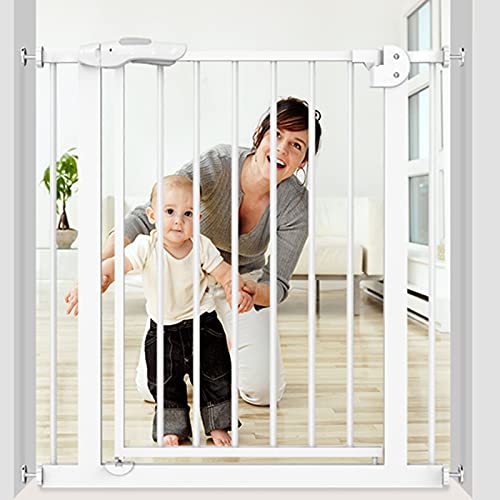 ybgpxr[T[N SQ[g ybgpS^Q[g SQ[g hAƊKip ̓tBbg EH[NX[ GNXgChQ[g I[gN[Y یtFX KiQ[g Ki肷q/135-144Cm