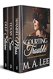 Writers Ink Books