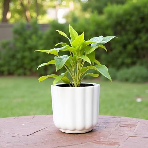 Image of Lasaki Flona White HT Ceramic Pots for Indoor Plants, Planters,gamla,Outdoor,Balcony,Home,Round,Garden, Office Decor,Succulent(H - 11.5 X D - 12.5 cm)(Plants not Included)