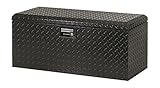 Lund 288271 Challenger Series Brite ATV Rear Storage Box , Black