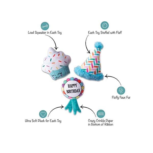 Fringe Studio Plush Dog Toy Set, Happy BARK-Day!, 3 Piece Set, for Small Dogs (289525) Fringe Studio Plush Dog Toy Set, Happy BARK-Day!, 3 Piece Set, for Small Dogs (289525)