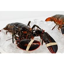Live New England Lobster, 2-3 lb avg, 10 lb Case, Approx 3-4 Count - Fresh Gourmet Lobsters for Chefs and Culinary Enthusiasts
