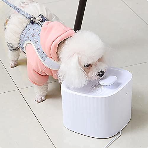 Petlicious & More Cat & Puppy Water Fountain Automatic Lighting LED Plastic Dog Water Dispenser Pet Drinking Fountain Quiet Filter Universal Indoor Feeding Replenish (B09CZ6GRQ1) Amazon Price History, Amazon Price Tracker