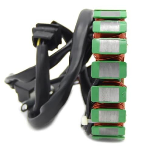 Estator 12V de alta resistencia para Suzuki Quadrunner 500 3