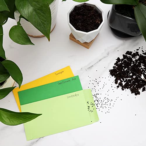 200 Pack Colorful Cash Envelopes 6.7X3.5 Fit For Envelope Money Saving Challenge, 120 Gsm Thick Money Envelopes For Cash, Budgeting, Check, Coin, Tickets, Jewelry, Small Items & Collectables #TOP5