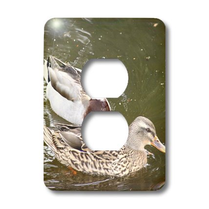 Capot de prise 2 canards lsp_24857_6 3dRose pour installation murale standard
