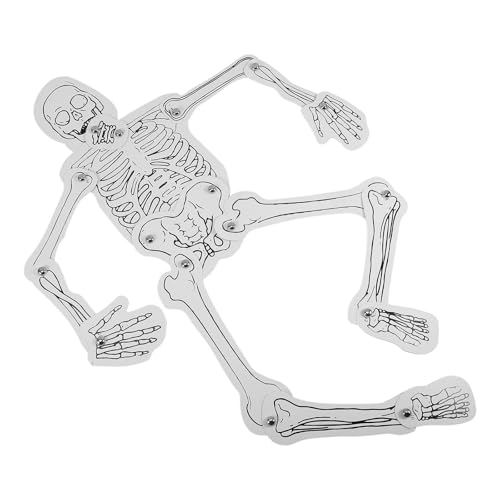 FRCOLOR DIY�l�̍��i�Ȋw�L�b�g ����p�l�̍��i�͌^ �g�ݗ��Ď��X�P���g���t�B�M���A �w�K���� ���w�Z���Ȏ��� �Ȋw�W���p