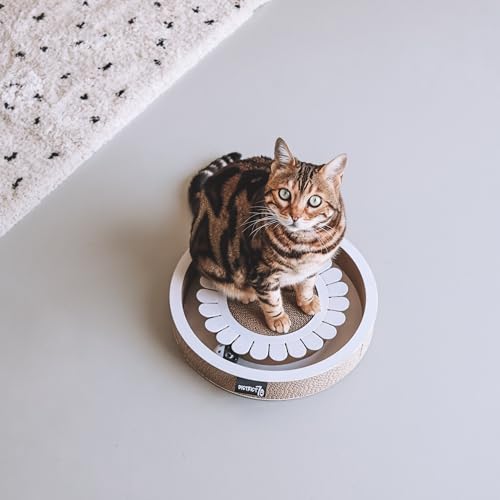 District 70 Bloom White