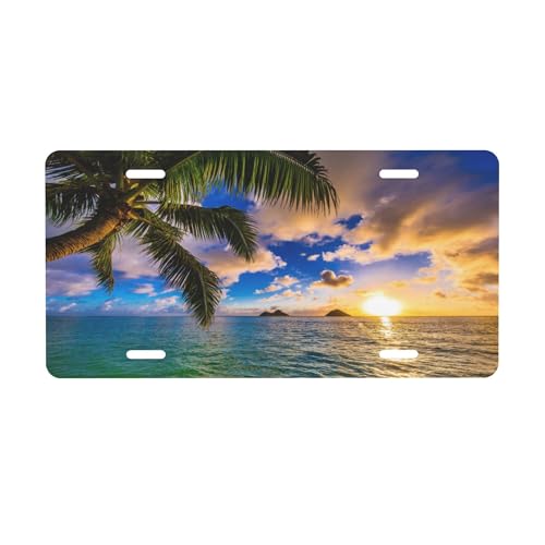 Palm Tree Front License Plate Designs Vanity License Plates Cover for Front by YoYoYuchong - Used condition - US$8.07