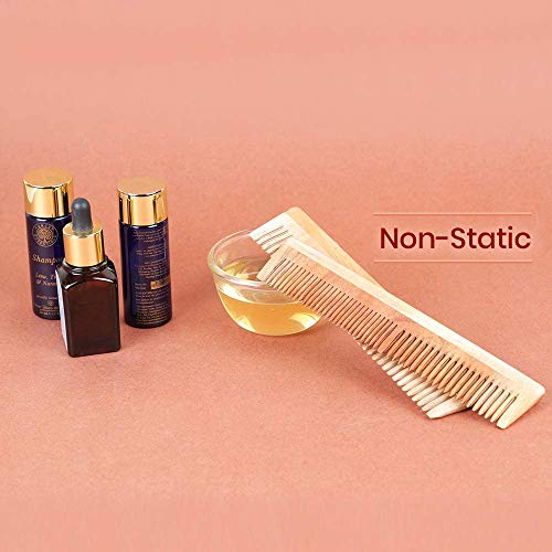 Healthandyoga(Tm) Puretress Handcrafted Neem Wood Comb - Non-Static And Eco-Friendly - Great For Scalp And Hair Health -7 Inch Dual Teeth Comb #TOP4