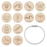 SUPERFINDINGS 12 Stück Insekten Holzinsekten Sperrholzanhänger Pädagogisches Lerngeschenk Lerninsekt Für Jungen Und Mädchen 3 5 Früherziehung Schule