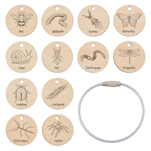 SUPERFINDINGS 12 Stück Insekten Holzinsekten Sperrholzanhänger Pädagogisches Lerngeschenk Lerninsekt Für Jungen Und Mädchen 3 5 Früherziehung Schule