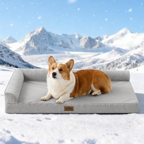 COZY KISS Cooling Dog Bed, Q-Max 0.4 Orthopedic Foam Dog Bed with Sides, Removable Cover & Waterproof Lining and Nonskid Bottom, Comfortable Pet Beds for Dogs, Grey (42' L x 30' W x 7' Th)