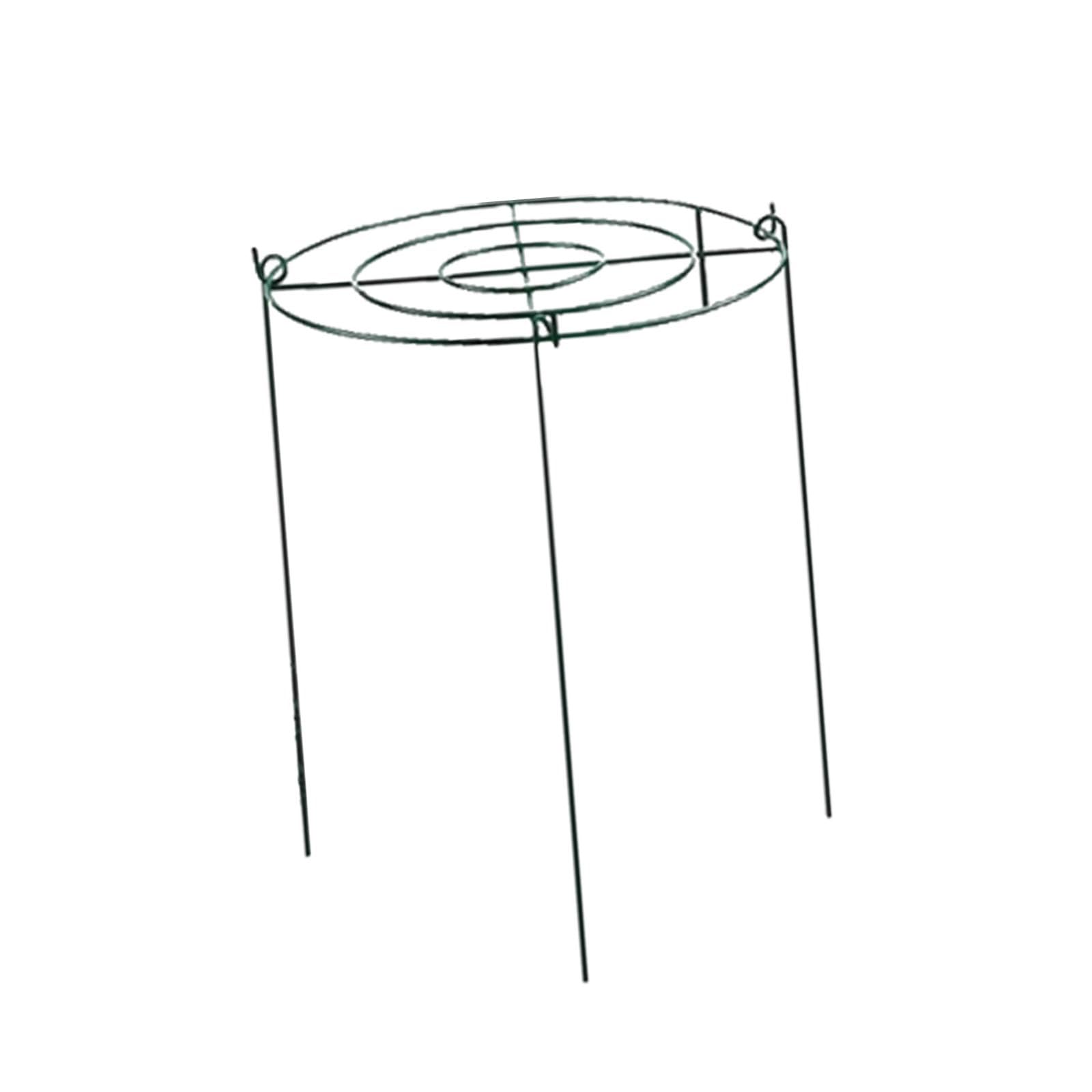 Tuteurs Annulaires pour Plantes Grimpantes, Poteaux Métalliques pour, Fraisiers, Plantes D'extérieur, Orchidées, Tomates, 35 Cmx60 Cm