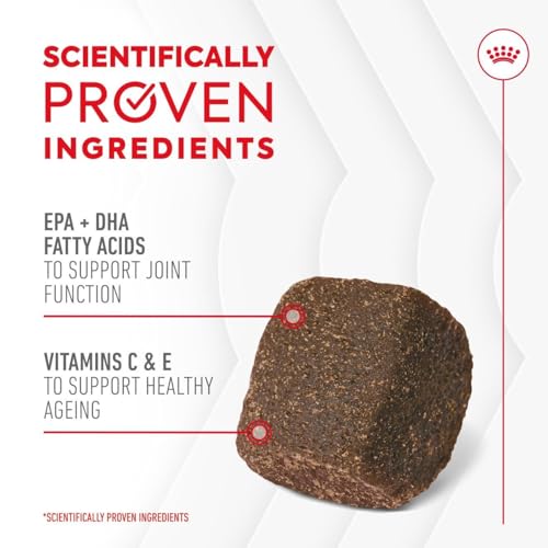 Royal Canin Dog Supplement for Joint & Ageing Soft Chews 240g - Image 5