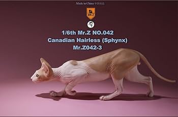 Amazon.com: Mr.Z Studio 1:6 Scale Canadian Hairless Figure