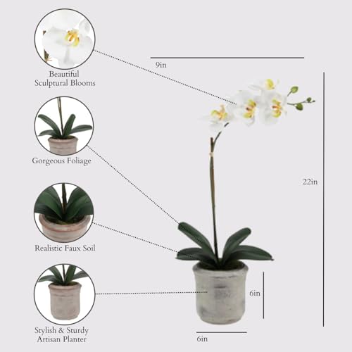 Image of CG Hunter Faux Phale White Orchid Plant, Set-of-2 Premium Artificial Indoor Flower Display Stands 22 inch, Beautiful Sculptural Blooms that Lasts Forever, Planter Pot Included