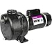 WAYNE WLS200 2 HP Cast Iron High Volume Lawn Sprinkling Pump