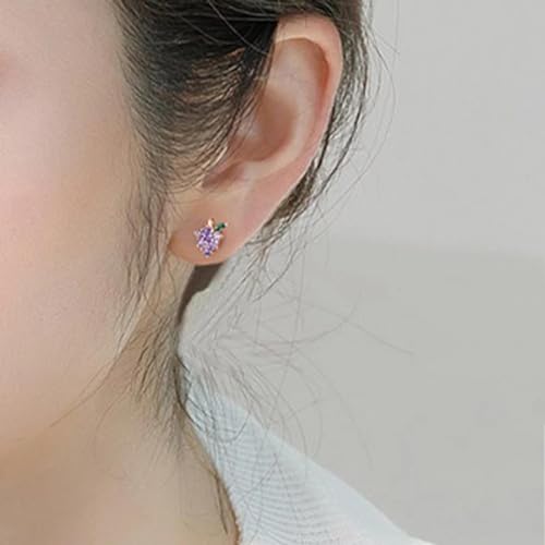 Boucles d'oreilles grappe de raisin violette anti-allergie vintage