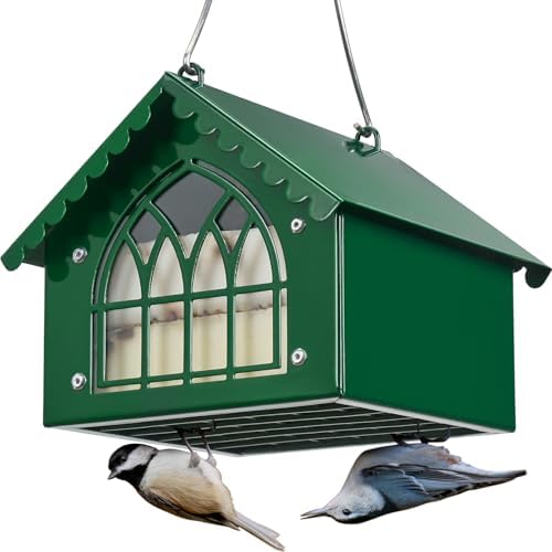 Suet Bird Feeders for Woodpeckers: Which One Will Attract Them Best? 8 Kingsyard Double Upside Down Suet Feeder Squirrel Proof with Weatherproof Roof, All Metal Suet Feeders for Outdoors Hanging, Great for Downy Woodpecker Nuthatch Chickadee, Green