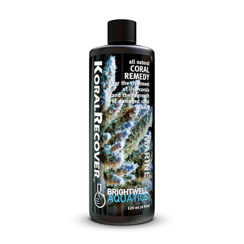 Image of Brightwell Aquatics Koral Recover - Botanical Coral Remedy for SPS, LPS & Soft Corals - Supports Tissue Healing, Disease Recovery & Immune Health - Safe for Reef Aquariums, 125 ml
