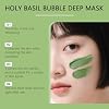 Holy Basil Bubble Deep Mask Face Scrubber, Bubble Mask with Holy Basil & Carbonated Water for Cleansing Pores & Blackheads, Gentle Bubbling for Deep Cleansing, Suitable for Men & Women (2)