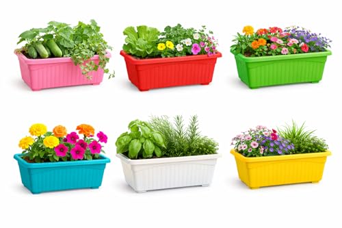 Image of Bianco Rectangular Plastic Pots for Plants, Jupiter Flower Pots for Home, Window Display, Garden (35 x 18.5 x 15 cm) (Multicolor) (Pack of 6)