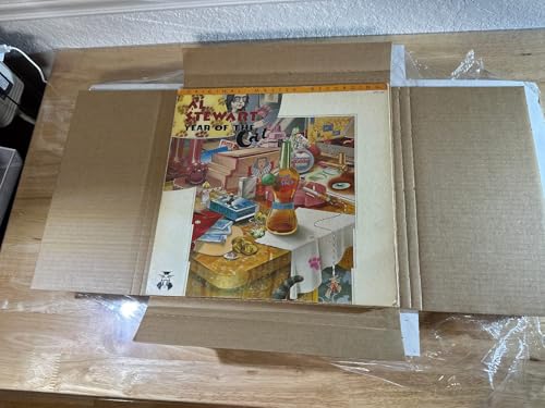 Vinyl Record White LP Shipping Boxes Set 12.6" x 12.6" x 1" Record Mailers Corrugated Cardboard Boxes Album Paper Box (5) by Voulosimi - Image 4