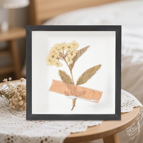 Estuche para souvenirs de viaje con marco transparente de pared 4