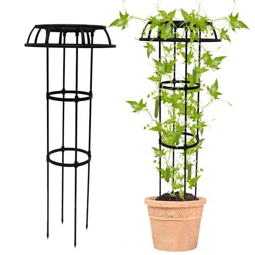 Quibbay Garden Trellis for Climbing Plants Outdoor,41.3 Inch Mushroom Top