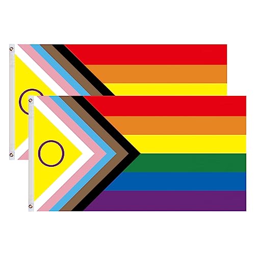 2 peças bandeira do orgulho bandeira LGBT grande 90 x 150 cm, bandeira do arco-íris LGBT Flag com 2 ilhoses de metal para esta de bandeira festivais procissão jardim exterior