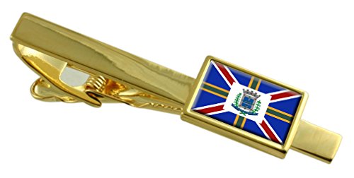 Pisacorbatas de Governador Valadares en oro para lucir en bodas y eventos formales