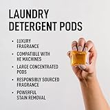 Laundry Sauce - Luxury Scented Laundry Detergent Pods & Scent Booster Bundle (Siberian Pine), Premium Laundry Washing Pods with High-End, Sophisticated Fragrances - Dye Free & HE Compatible - Image 6