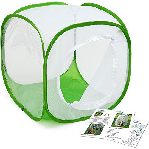 Insect and Butterfly Habitat Cage Terrarium Pop-up 12 X 12 X 12 Inches Polyester Bottom for Easier Clean