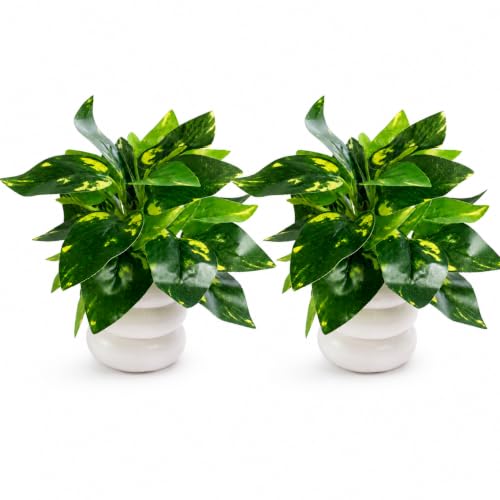 Best Artificial Hanging Plants for Your Home 10 SHASHYA Golden Pothos Artificial Money Plant with White Pot | Rea...