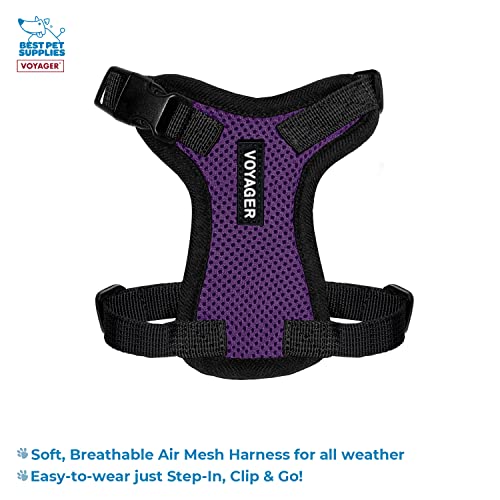 Image of Best Pet Supplies Voyager Step-in Lock Pet Harness w Reflective Pet Leash Combo Set with Neoprene Handle 5ft - Supports Small, Medium and Large Breed Puppies /Cats - Purple /Black Trim, XXS